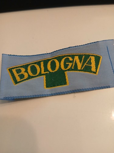 Bologna agesci badge - bologna,