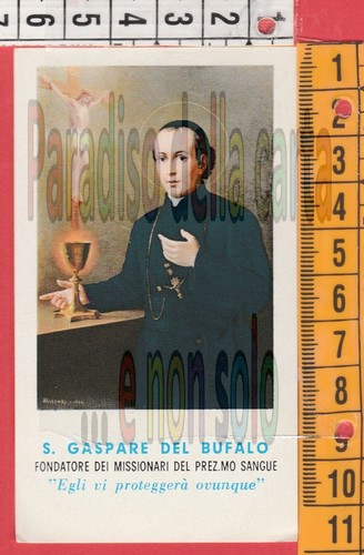 Santino holly card canivet - card,,