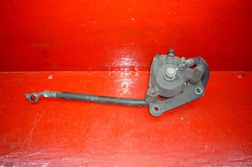 Pinza pinze posteriore - pinze,