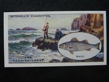 No.4 BASS - THE CORNISH COAST