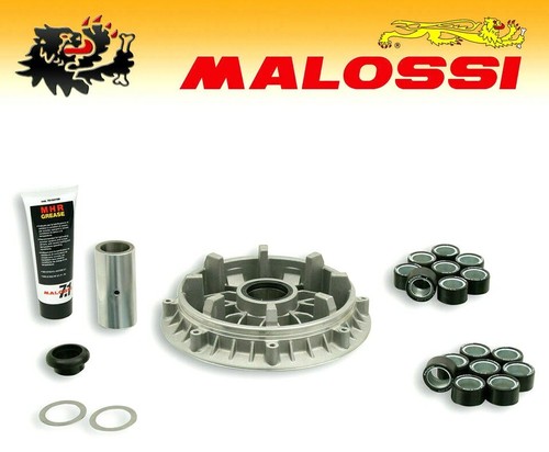 Variatore malossi multivar - malossi,