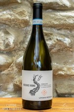 Vecchie Vigne 2023 Verdicchio