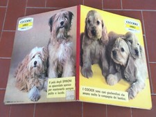 CUCCIOLI AMICI Malipiero