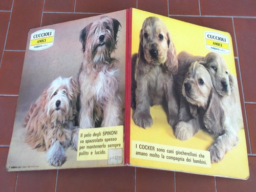 Cuccioli amici malipiero - cuccioli,