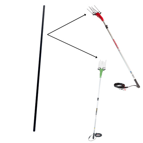 Active ibea astina carbonio - active, in