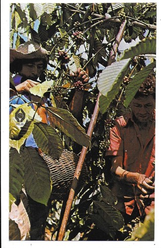 Qsl radio hcjb - radio,