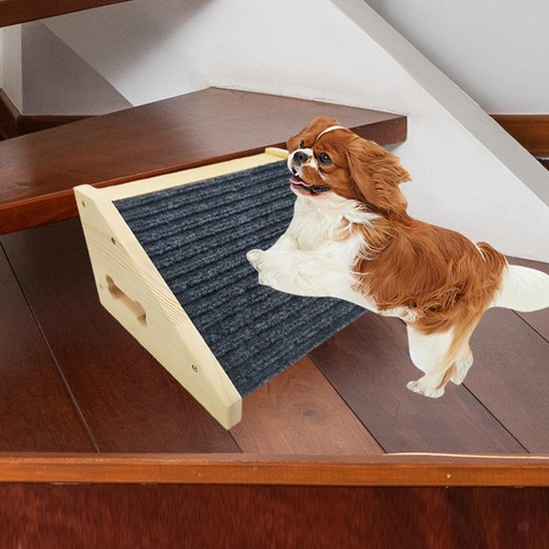 Rampa per cani regali - rampa, cani,