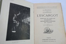 Lumache - Allevamento E