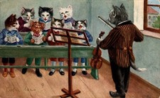 Animali gatti in veste scolastica F. piccolo spedita