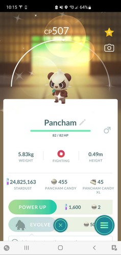 Pokemon shiny pancham hiny - pokemon,