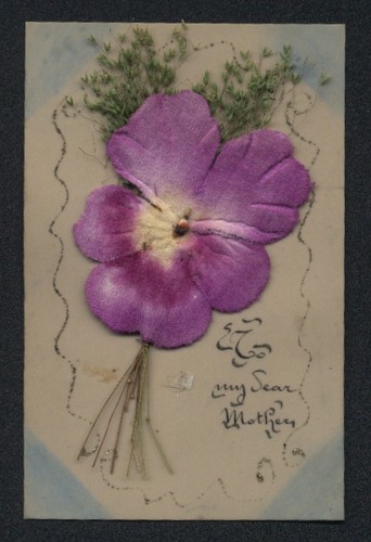 Cartolina fiori secchi erbe - , e
