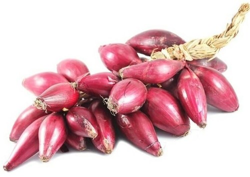 Semi sementi cipolla rossa - semi,