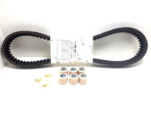 Cinghia trasmissione rulli - cinghia,