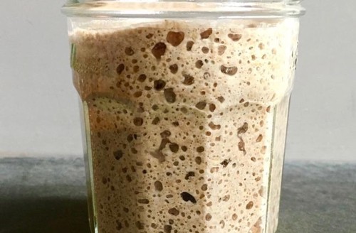 San francisco live sourdough - francisco,