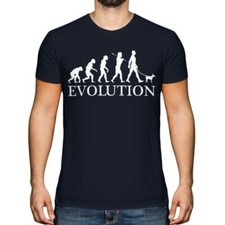 Miniatura Pinscher Evolution