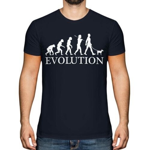 Miniatura pinscher evolution - pinscher,