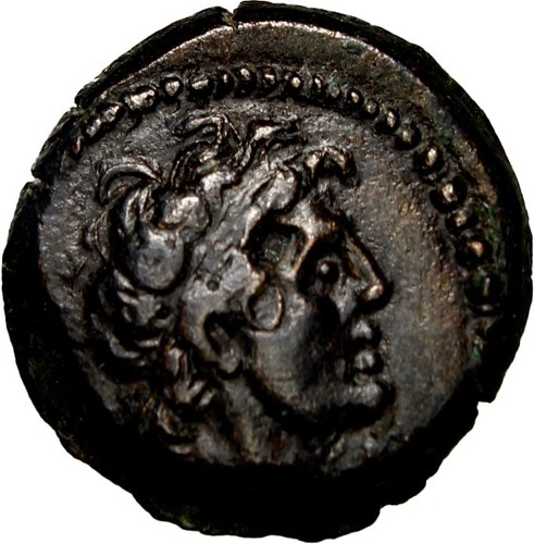 Tolomeo iii euergetes - euergetes, ae13