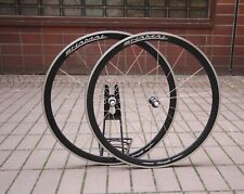 Set ruote Campagnolo Shamal