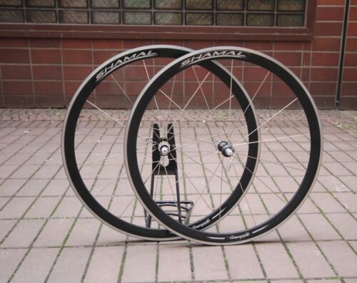 Set ruote campagnolo shamal - ruote,