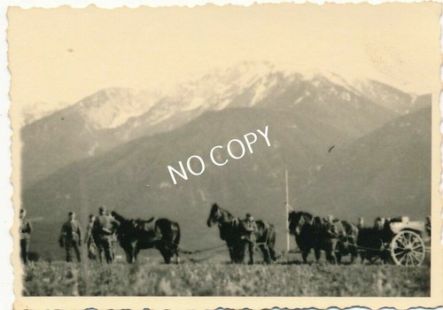 Foto soldati cavalli - soldati,