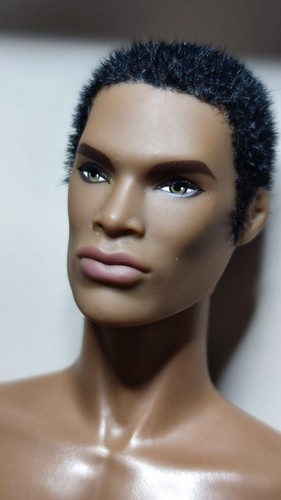 Fashion royalty darius - fashion,