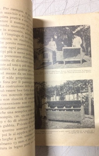 ZOOTECNIA_VETERINARIA_CONIGLIO