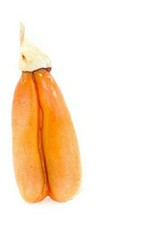 Bottarga  della Sardegna  Cabras Oristano prodotto tipico prodotti sardi baffe