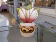 Thun vasetto con piantina