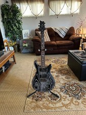 PRS SE Palude Frassino