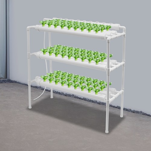Pianta vegetale strati - vegetale, 3