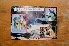 1996 BARDONECCHIA SLED DOG