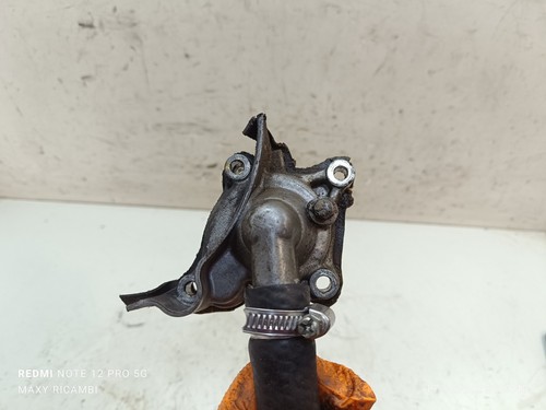 Carterino pompa acqua honda - pompa,