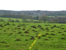 Photo 6x4 many moles bordon - 6x4, or