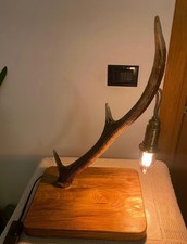 Lampada con corno di