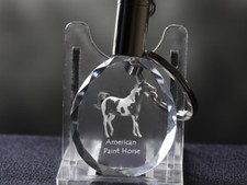 Paint Horse, Cavallo Cristallo