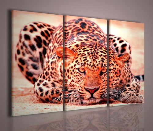 Quadri moderni leopard quadro - quadri,