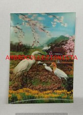Cartolina Lenticolare da
