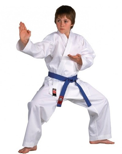 Dojo line karate dan - line,