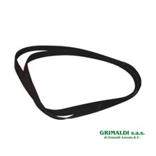 CINGHIA 8PHE 1195 TRAINO