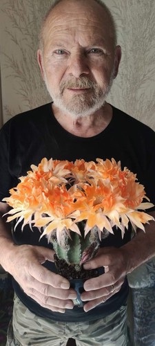 Trichocereus-Echinopsis-lobivi