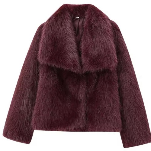 Pelliccia modello zara 2025 - modello,
