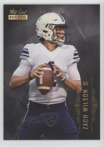 2021 wild card argento - argento, opaco