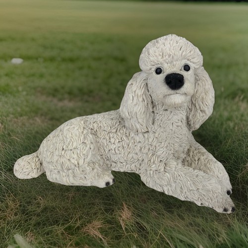 Castagna white poodle - castagna, resting