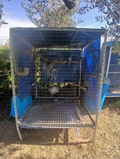 gabbia pappagalli voliera usata