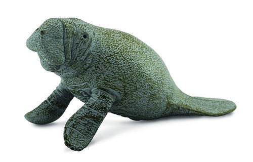 Collecta animali marini - collecta, sea