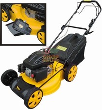 16886 VIGOR RASAERBA A SCOPPIO