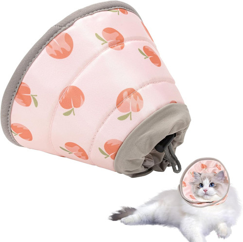 Collare elisabettiano gatto - elisabettiano,
