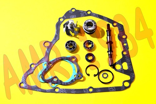 Kit revisione pompa acqua h2o - revisione,
