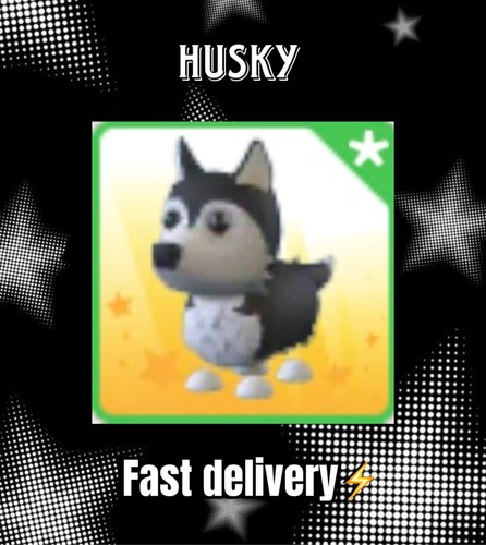 Husky adopt no - -, [no