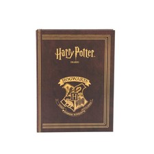 Harry potter diario scuola - harry,